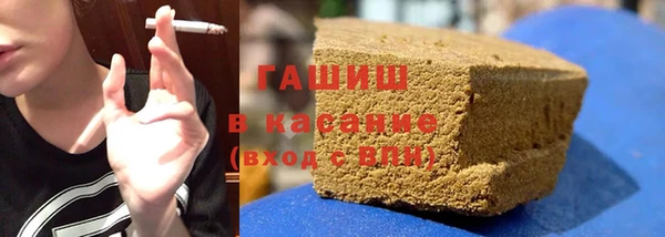индика Аркадак