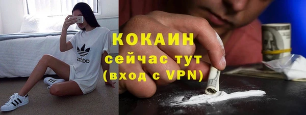 индика Аркадак