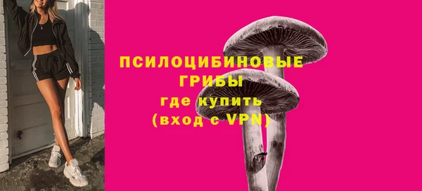 индика Аркадак