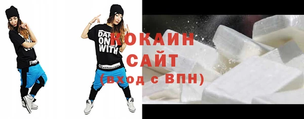 индика Аркадак