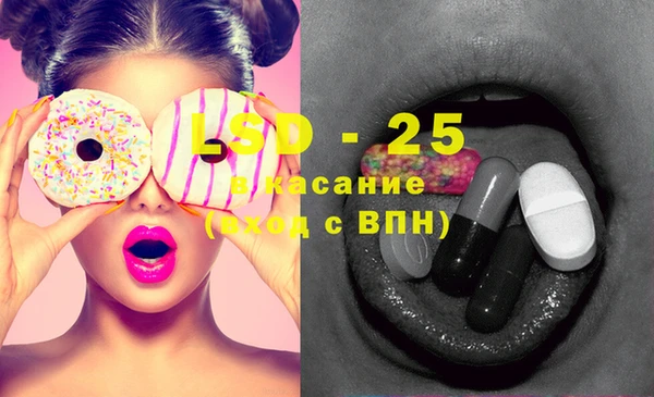 индика Аркадак