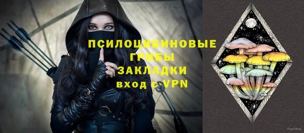 индика Аркадак